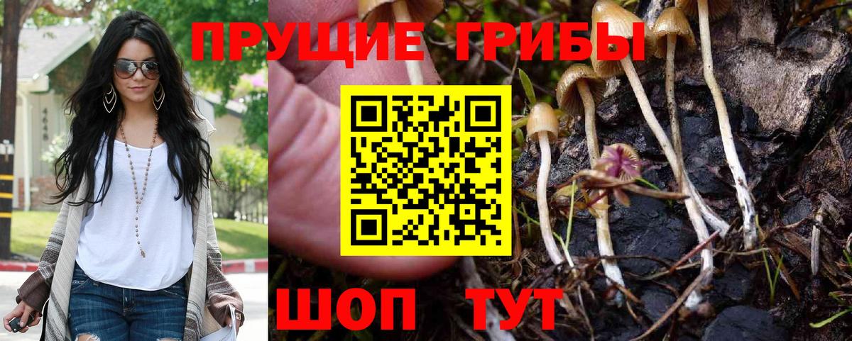 Галлюциногенные грибы Psilocybine cubensis  Вход с VPN  Междуреченск 