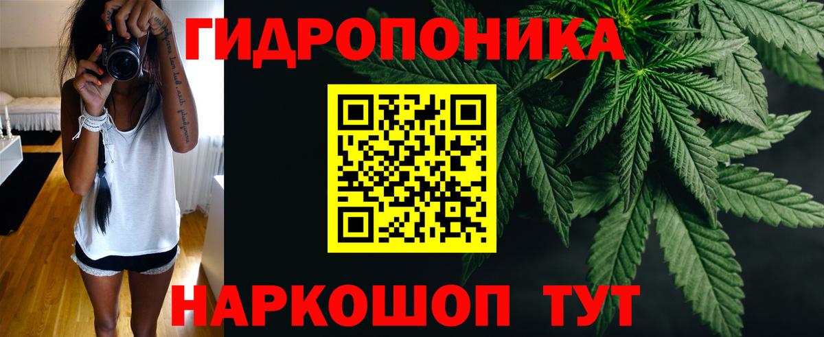 Марихуана планчик  Конопля план  Вход с VPN  Междуреченск  Конопля AK-47 